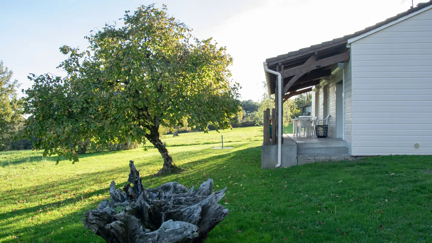 gite-bois-cassé-arbres-saint-laurent-des-hommes-tourisme-vallee-isle