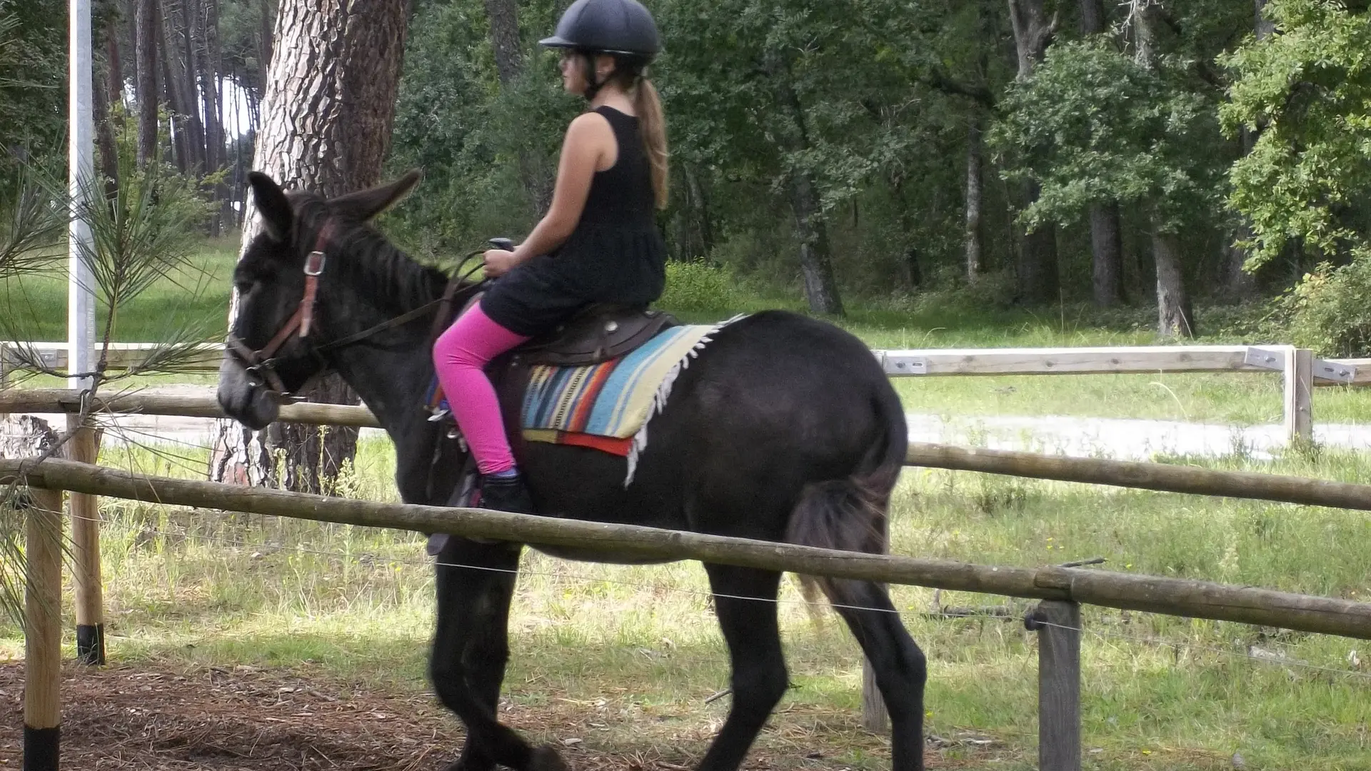 Promenade à dos d'âne