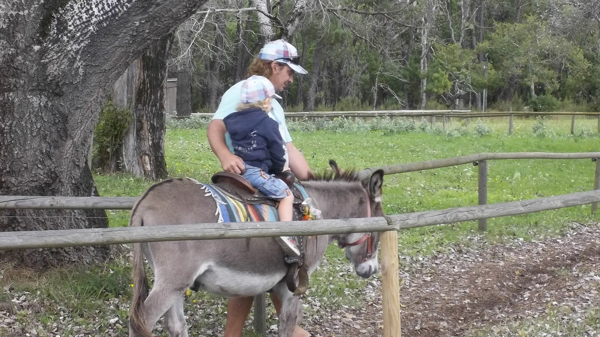 Promenade à dos d'âne