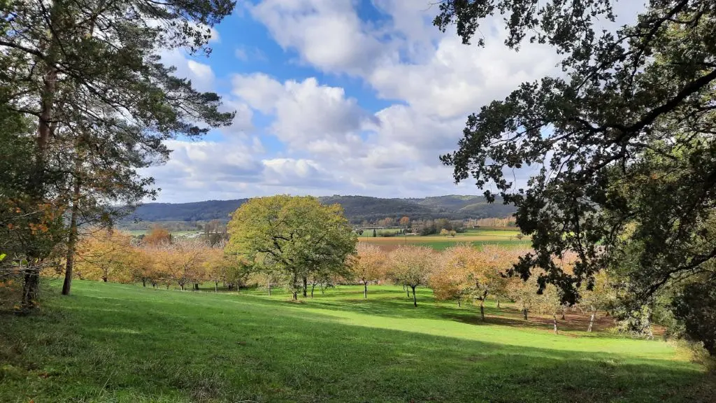 15 VUE DOMAINE DE LA BORIA