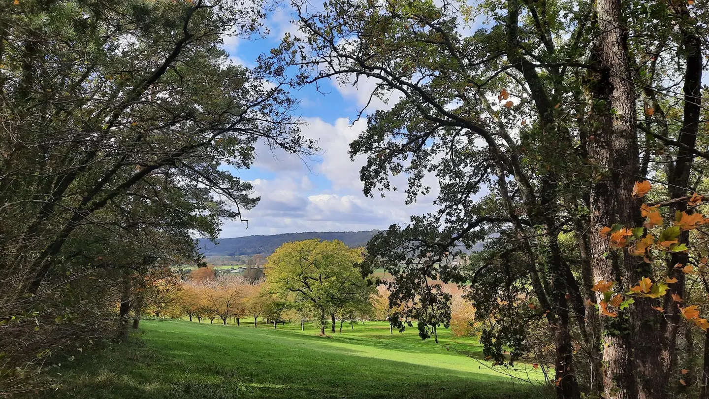 15 VUE SUR DOMAINE BORIA 3 2