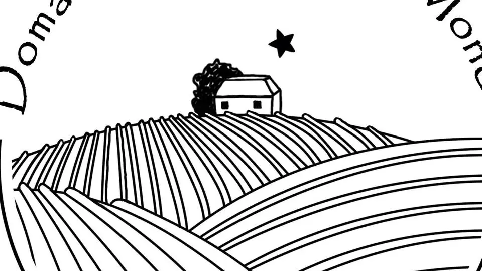 18893312-1314435841986744-7891723500702126760-n-2