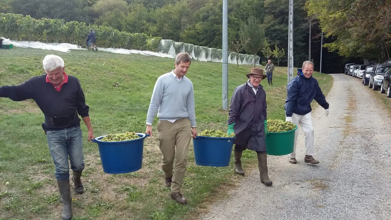 Les Vignes du Repaire de Noblat_5