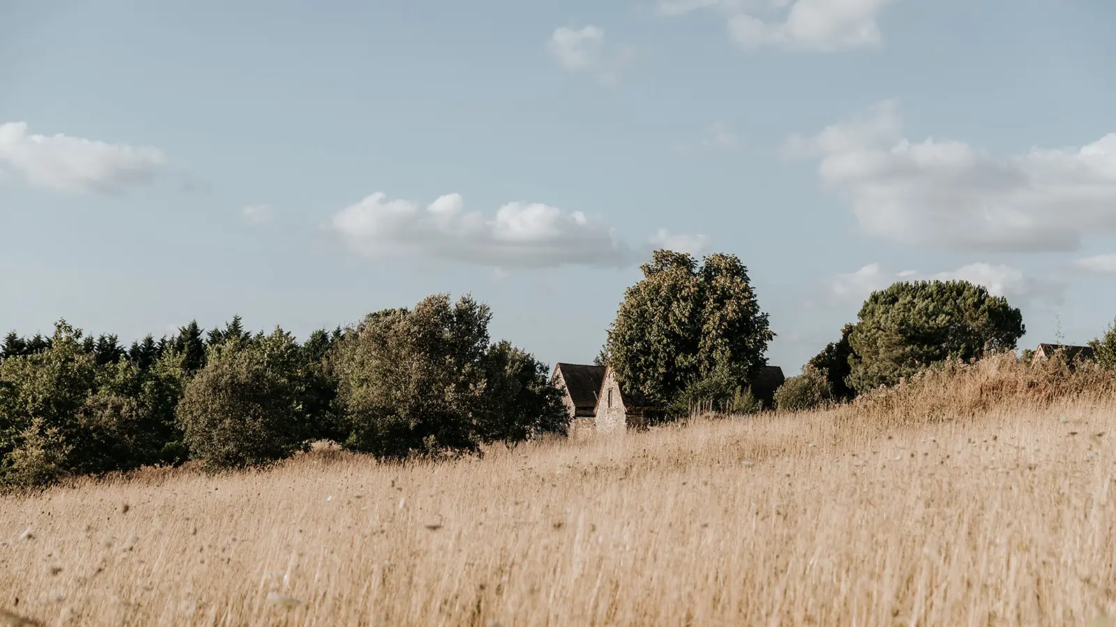 2 - La truffie╠Çre