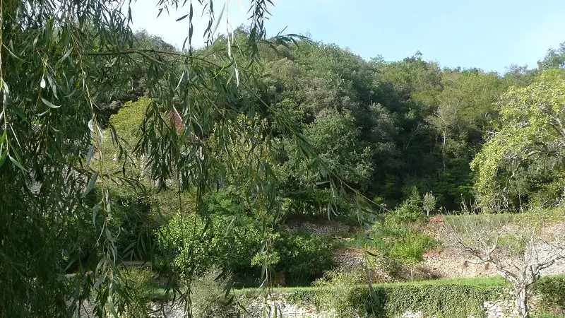 2-Le-haut-du-jardin