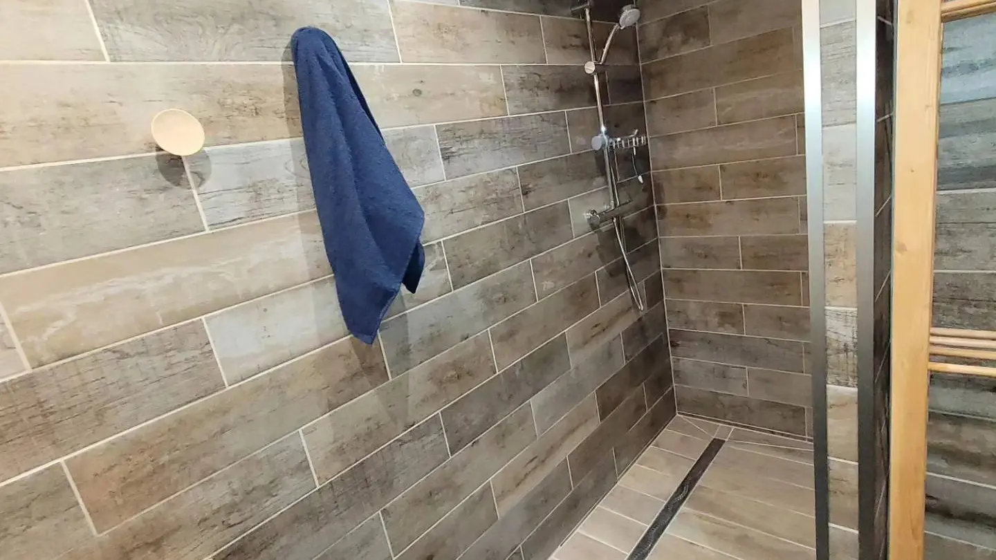 2 ème photo de la salle de bain (douche)