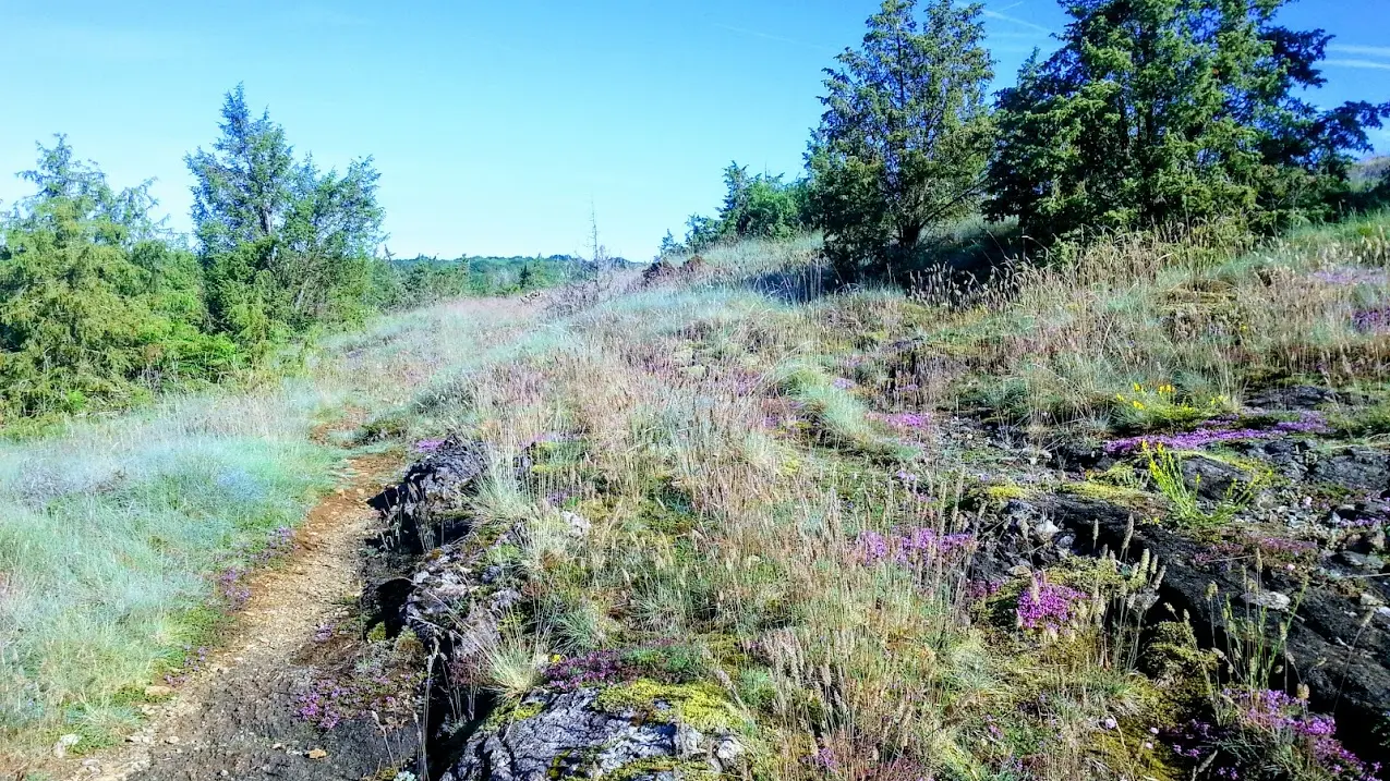 Le sentier de la Flotte et du Cluzeau à Château-Chervix et à Meuzac