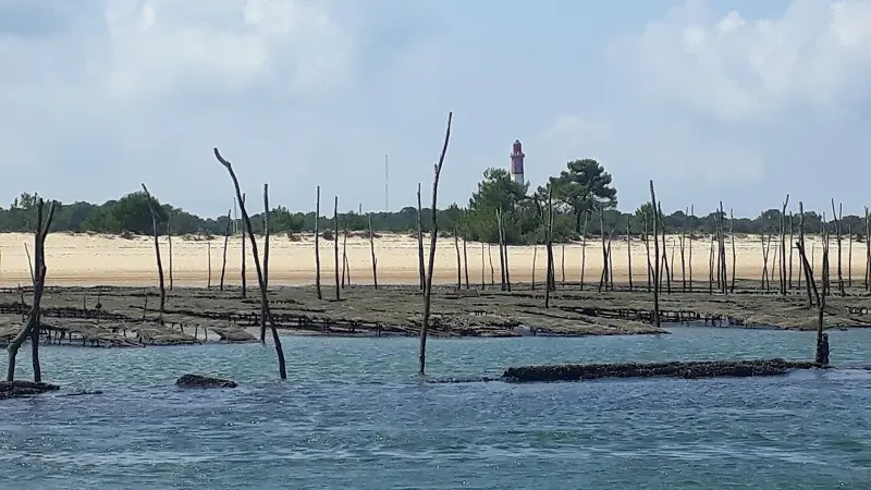 Arcachon découverte