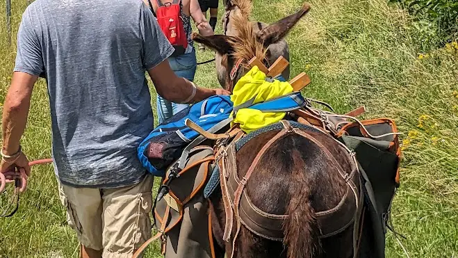 2025 Sensori'Ane PAUSSAC SAINT VIVIEN (5)