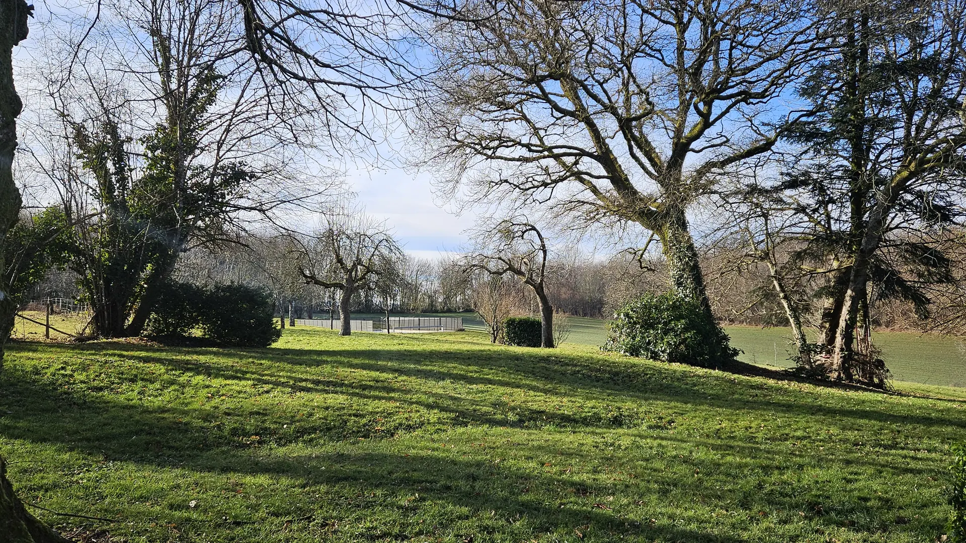 Jardin et piscine