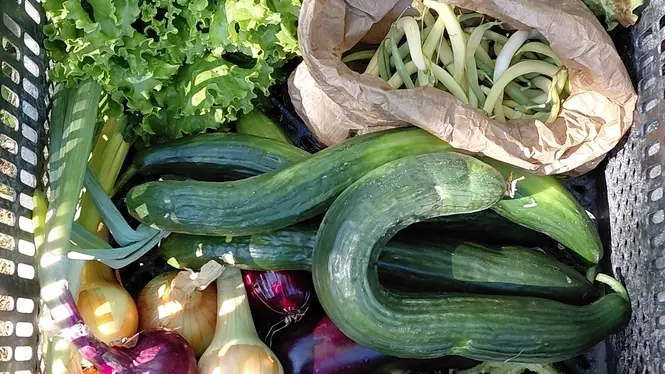 2026 - Ferme La Petite Clavelie RIBERAC