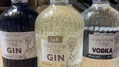 2026 - Le Coq Cuivre - DOUCHAPT