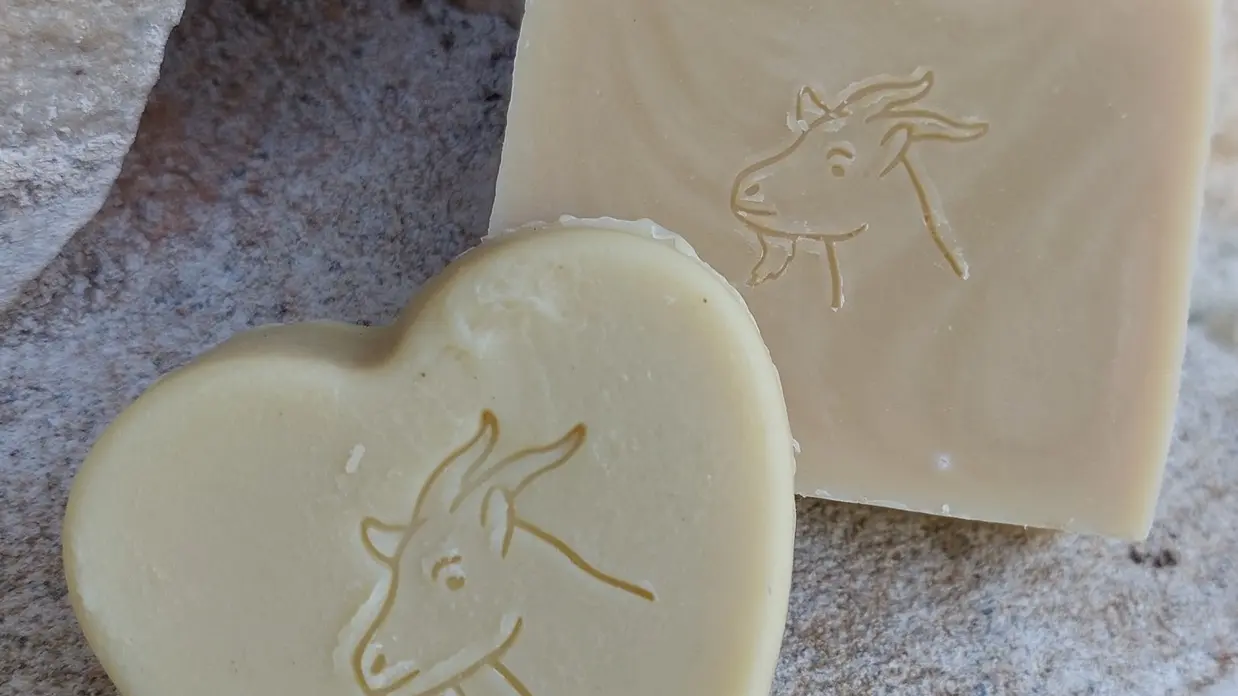 2026 La chèvre se savonne Douchapt (4)