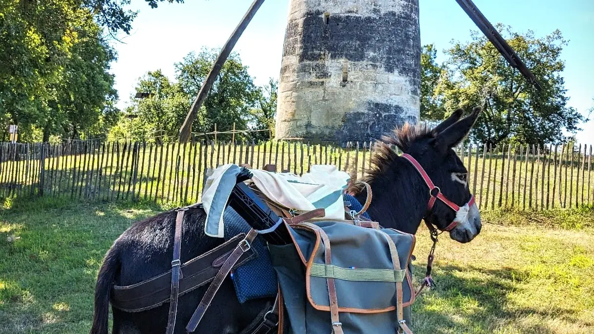 2026 Sensori'Ane Paussac St Vivien (2)