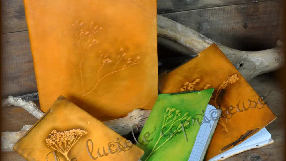 2026 Tifaine Nadot Saint André de Double (2)