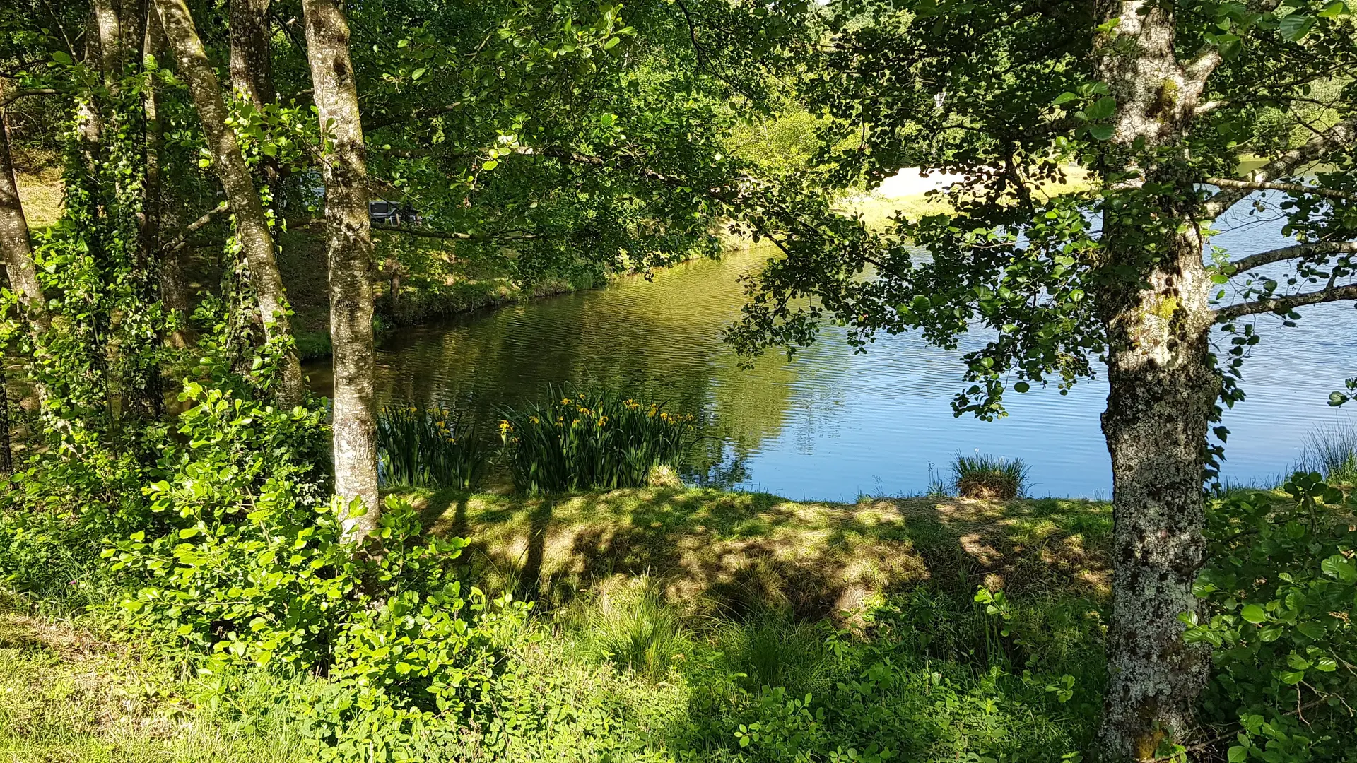 étang des pierres du mas