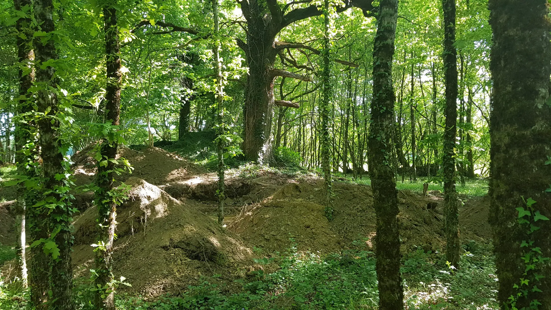 Celle Grandmontaine