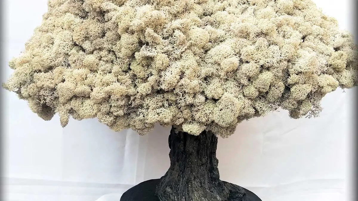 RocArtFloral - Morgan Lefer