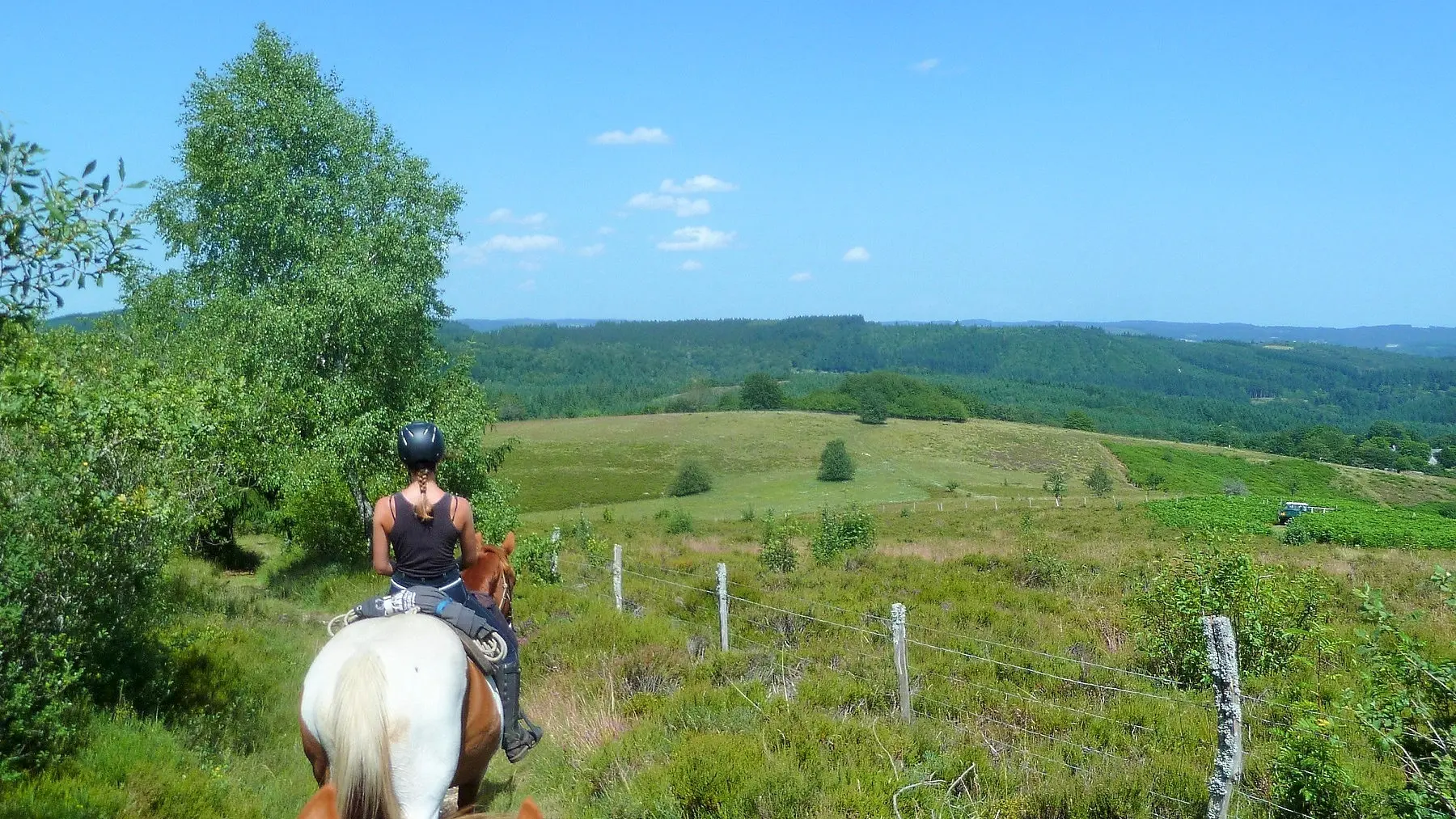 A cheval durant une randonnée équestre écotouristique dans le Massif des Monédières, PNR Millevaches_7