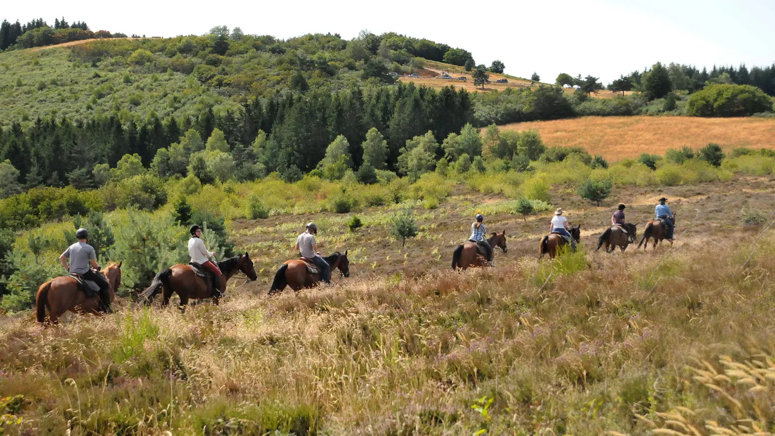 randonnée équestre dans le PNR Millevaches_5