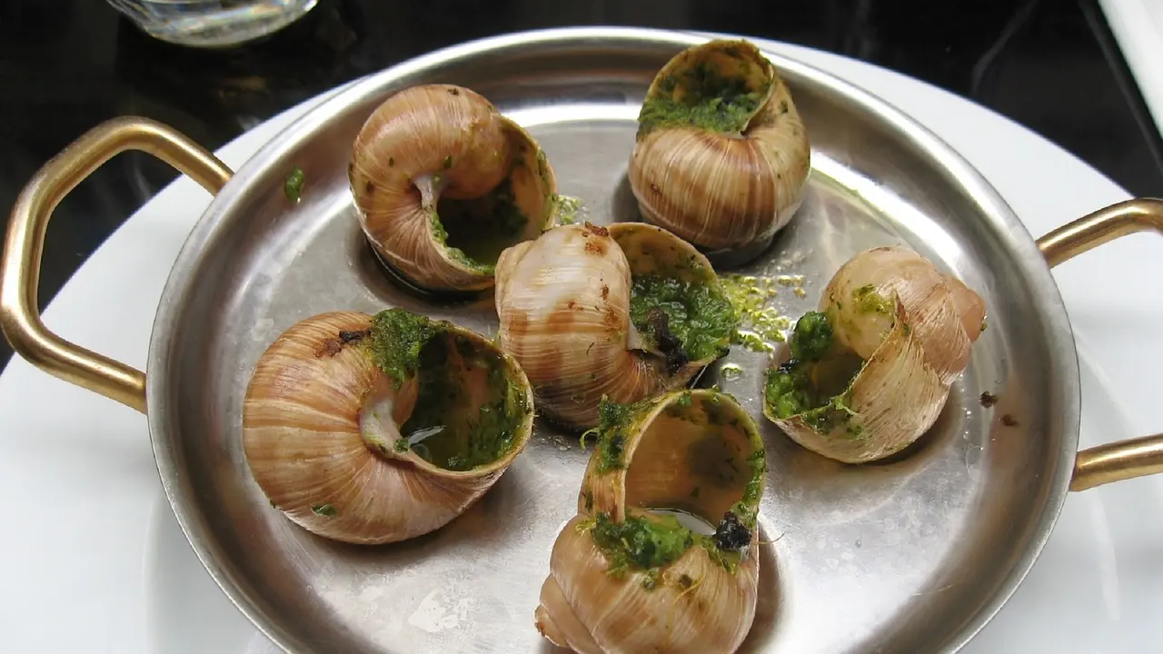 Escargots cuisinés_2