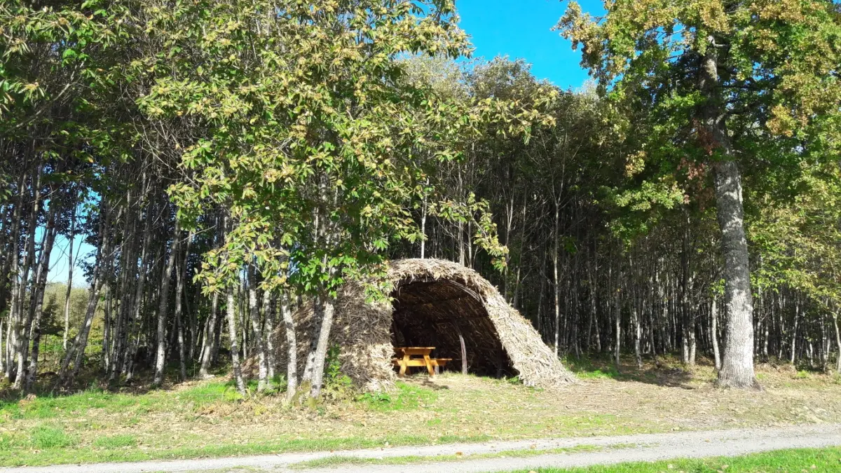 Aire de pique-nique Etang de Masselièvre_2