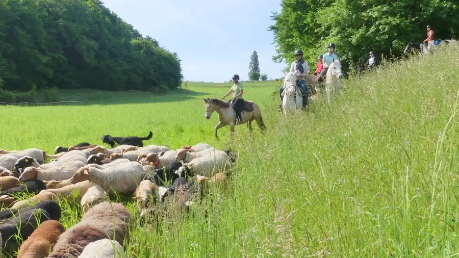 L'Echappée Pastorale