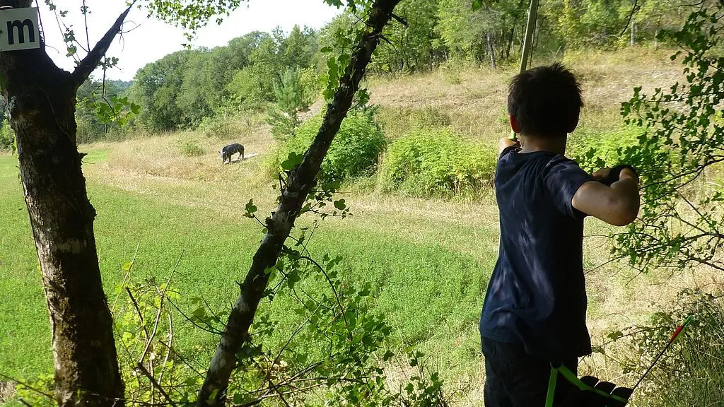 Le Bel Oiseau tir à l'arc