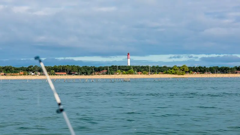 Sortie pêche