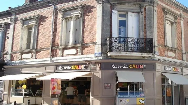 Mie câline