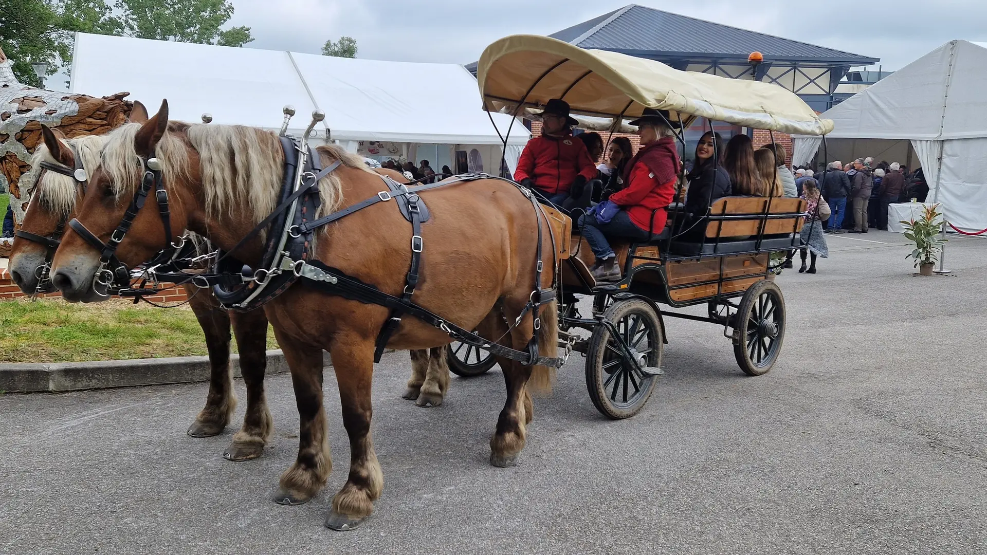 Promenade en Calèche avec Pénélop et Gess calèche Western