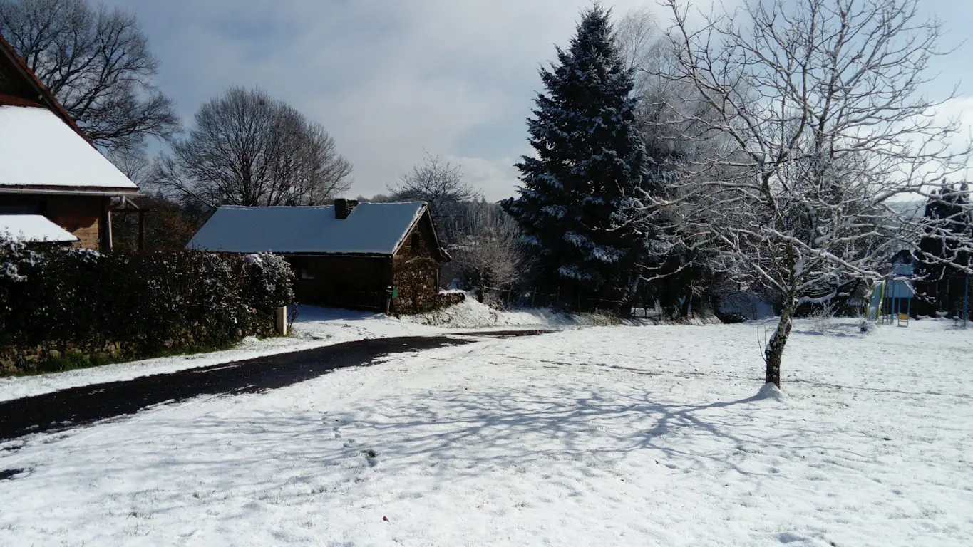 paysage de neige