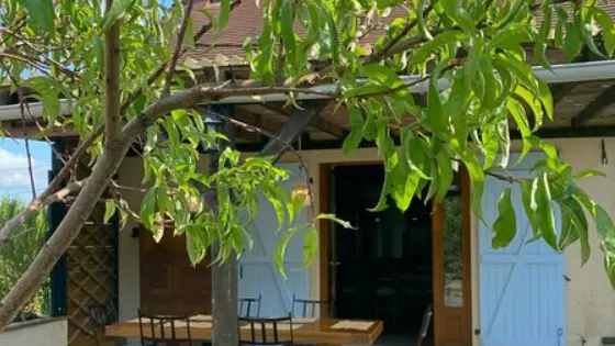 table vue du jardin