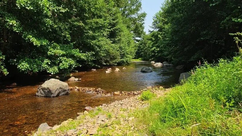 Friendly Camping and Lodges