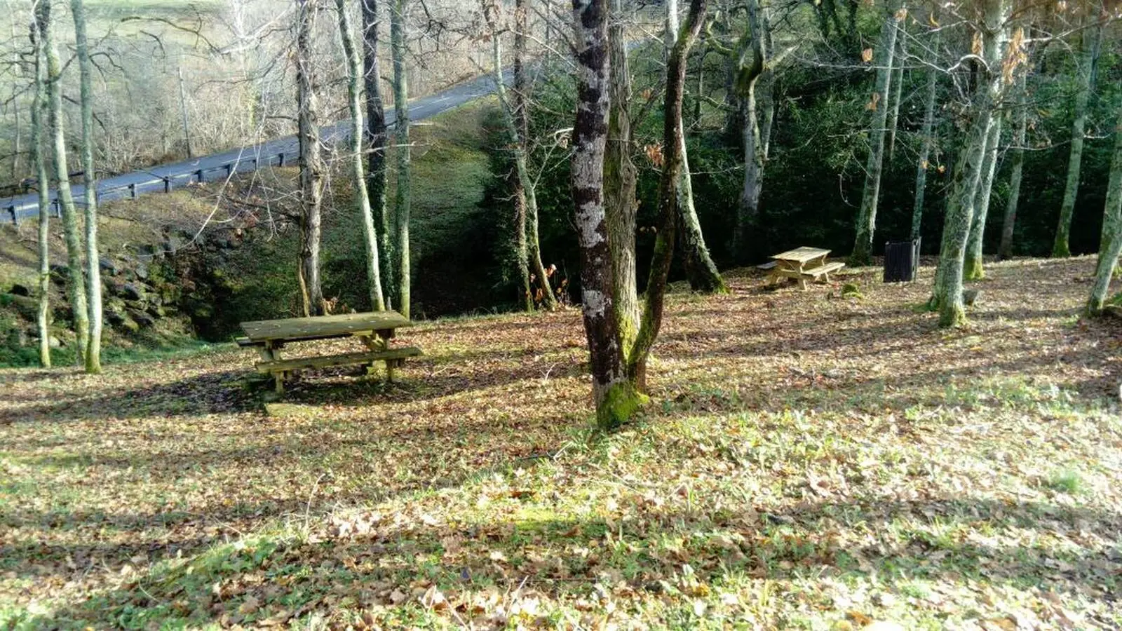 Aire pique nique - Aubertin - chemin de Pépic 1