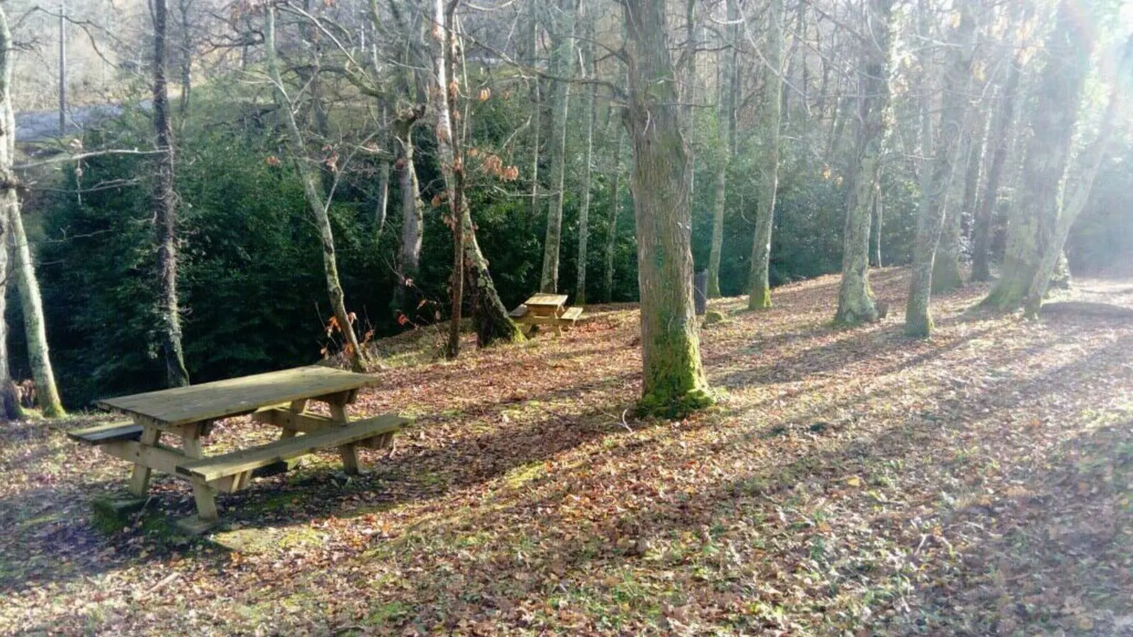 Aire pique nique - Aubertin - chemin de Pépic 2