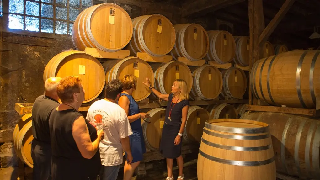 Arthez d'Armagnac - Domaine d'Ognoas - Chai - Visite Guidée_1