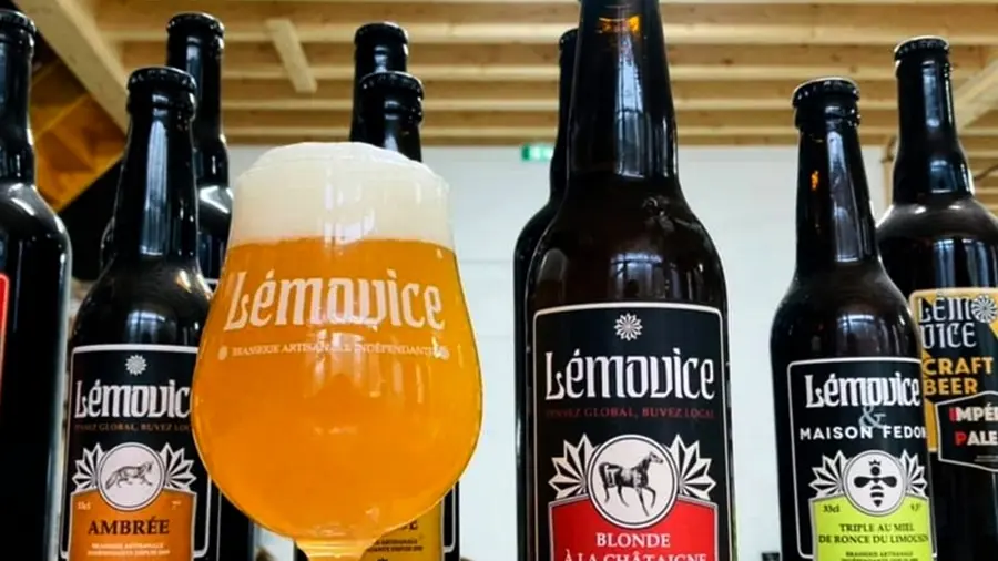 BIERE-Lemovice3a