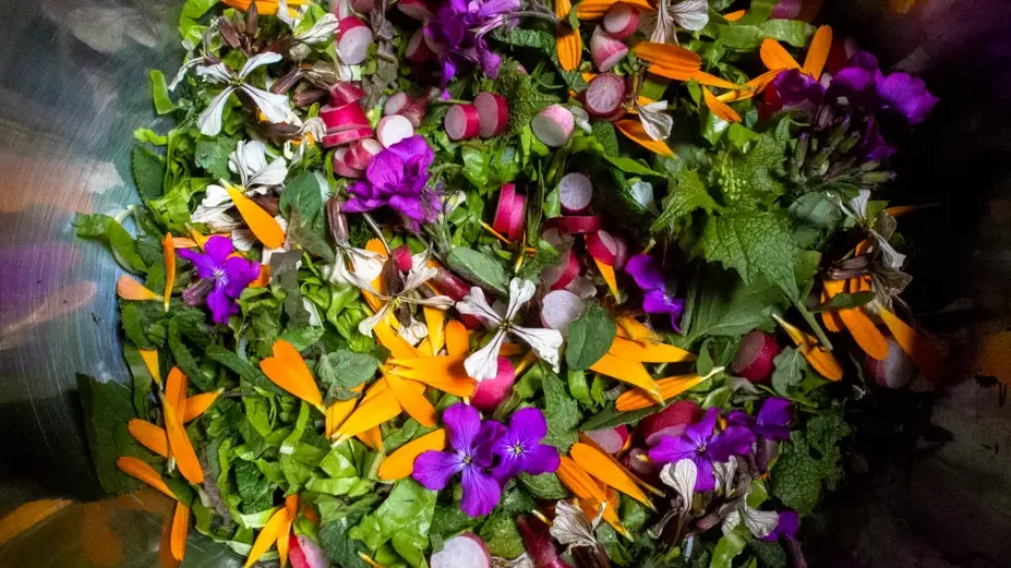 Balade salade 1