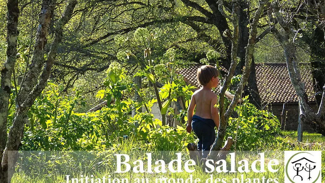 Balade salade