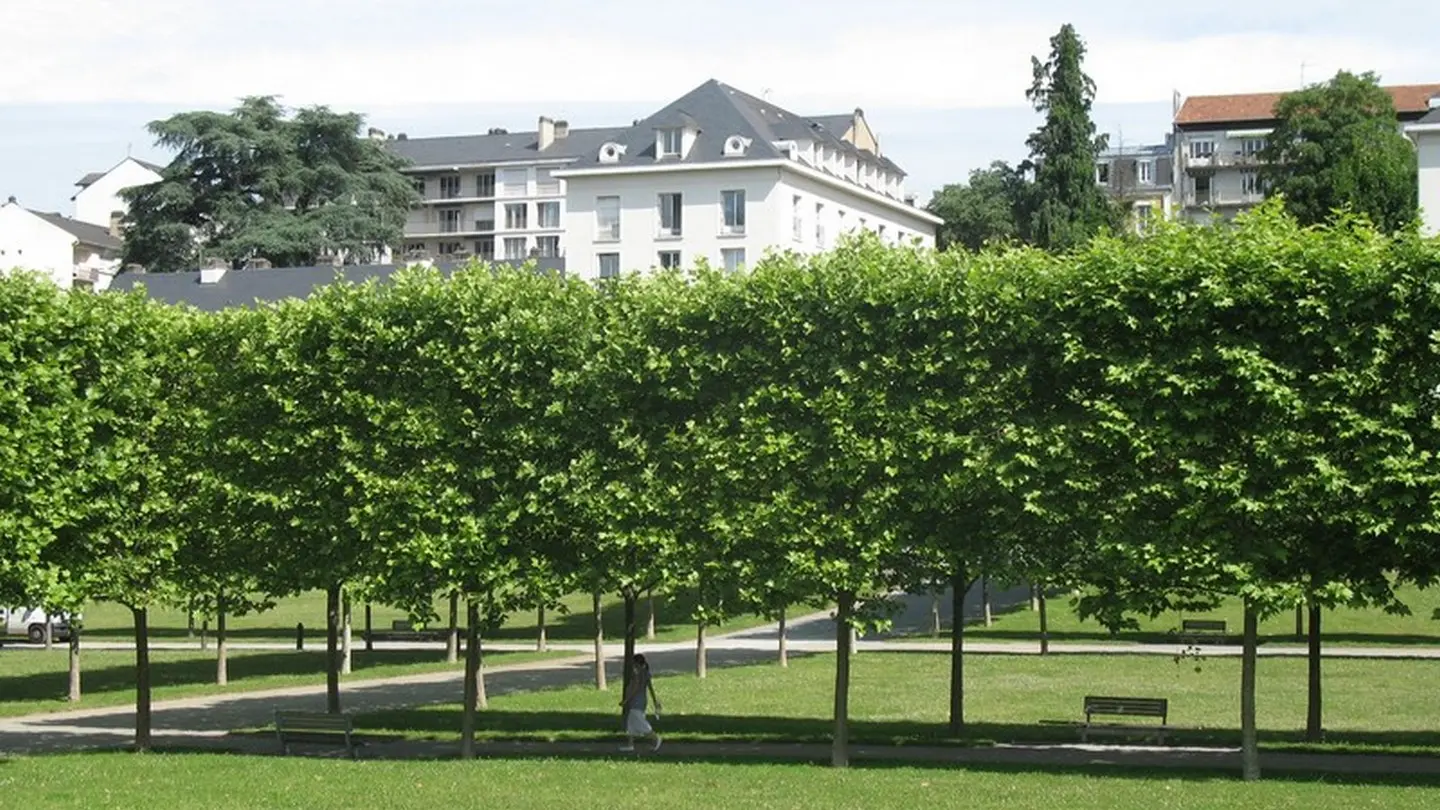 Bardy Serge - Pau - vue du Parc