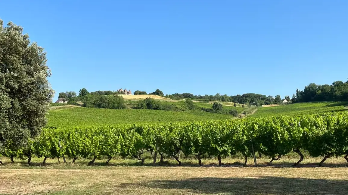 Barns côté grange vue vignoble