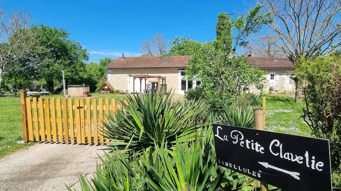 Bergier - Les Libellules (8)