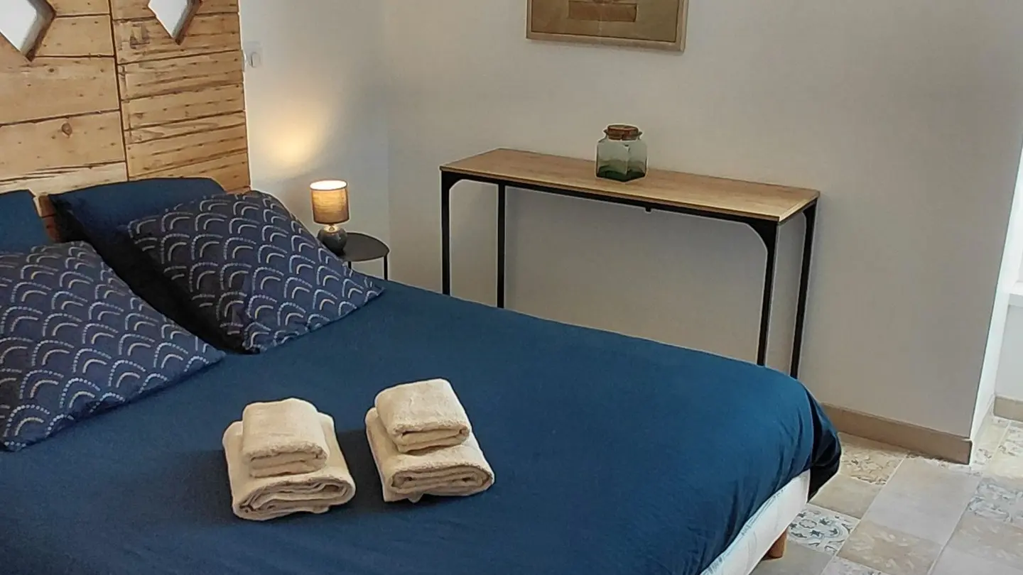 Bergier - Les Libellules (14)