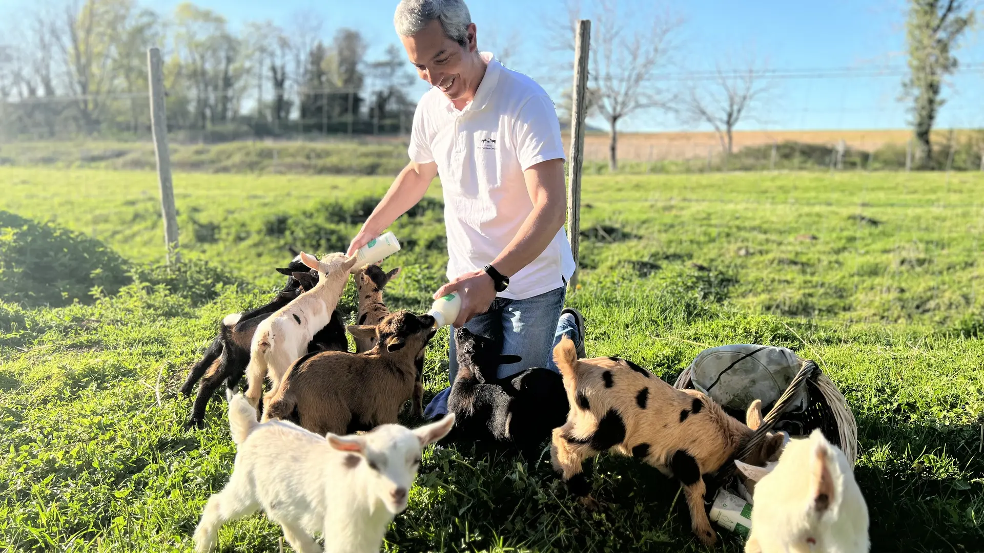 Biberon aux chevreaux pour brochure