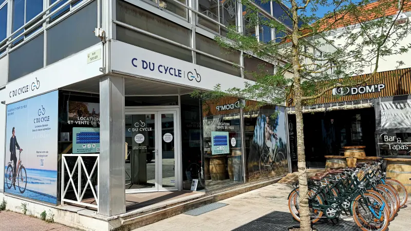 C du cycle 2