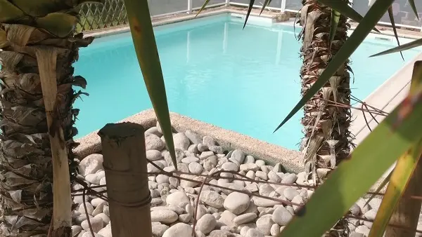 CHO_Campagne_Le Moulin du Porteil_Piscine chauffée_mars 2023