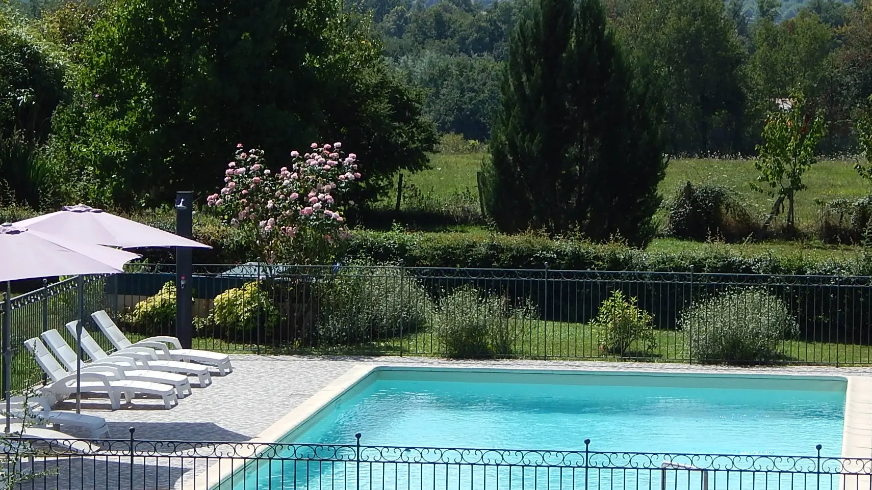 Camping la Grenouille 1