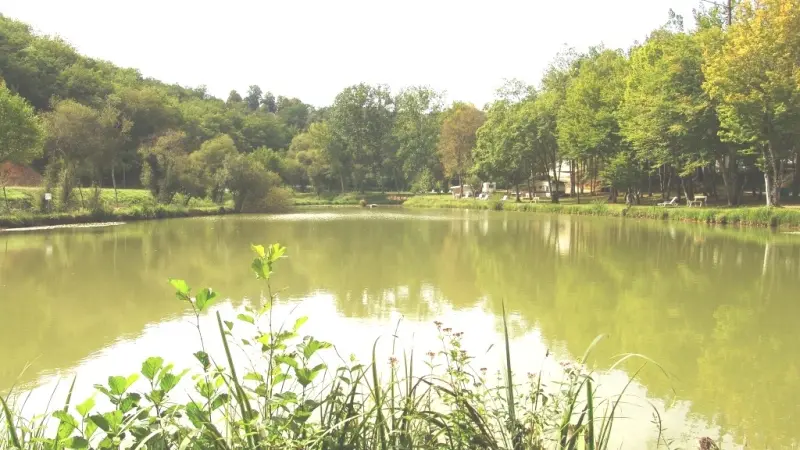 Camping le Roc de Lavandre_Etang de pêche