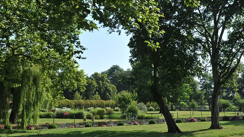 Cantenac - Château Kirwan